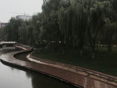 -雁滩公园