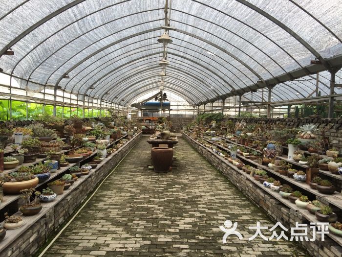 景天韵多肉园艺馆图片 - 第88张