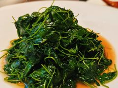 -天福苑(崇宁路店)