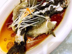 -一品粤珍轩(吴中路店)