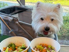 -西安浐灞艾美酒店·汉江餐厅·火锅