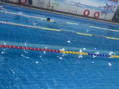 -奇缘游泳培训基地(辰茂店)