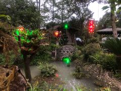 -青城甲(青城山店)