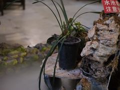 -庭院小酌(瑞莲街店)