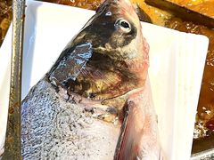 -铭记蛙小仙·活蛙畅享(CBD万达广场店)