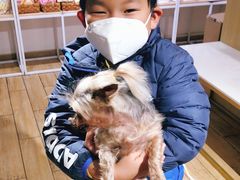 -Double Rui宠物酒店