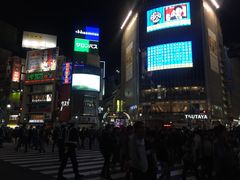 -涩谷区
