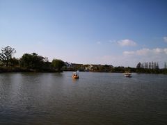 -上海长兴岛郊野公园