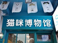 -猫咪博物馆(顶澳仔猫街店)