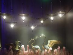 -墨锦轩·5D影院足浴·SPA(高新店)