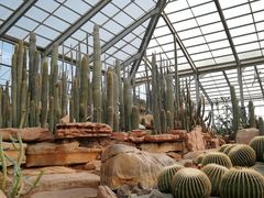 -南通洲际绿博园