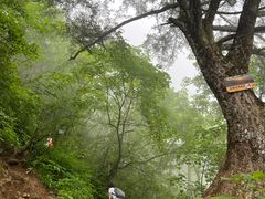 -九峰山