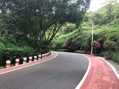 -仙岳公园
