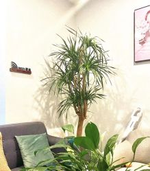 -植蔻妍倍儿专业脱毛·皮肤管理