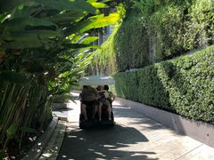 -普吉岛凯悦酒店