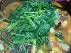 鱼头煲-九道菜有鸡鱼头(石鼓路店)