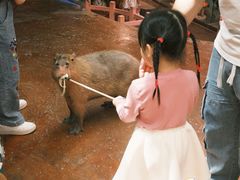 -正佳雨林生态植物园