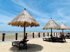 -北海金海湾红树林生态旅游区