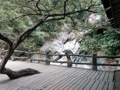 -天门沟九州驿站树上汤泉