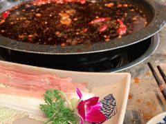 -重庆渝达老火锅(春熙路店)