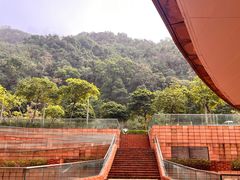 -香港大学