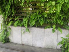 -白塘生态植物园