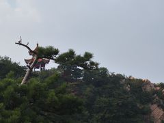 -天津盘山风景名胜区
