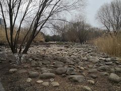 -长广溪湿地公园