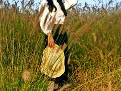 -白鹭湾湿地公园