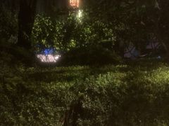 -后海公园