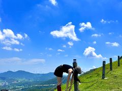-大姆山草场