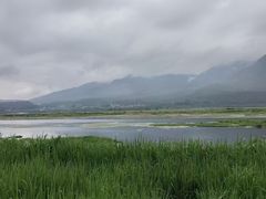 -腾冲北海湿地