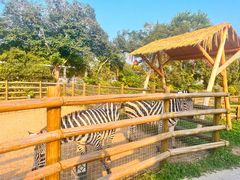 -苏州太湖西山岛开心农场