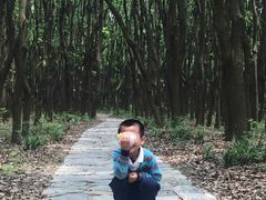 -同里国家湿地公园