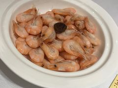 -席家花园(巨鹿花园店)