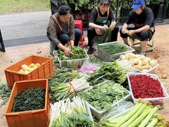 -辣螃铠盆盆蟹大排档(海昌店)