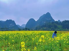 -靖西鹅泉风景区