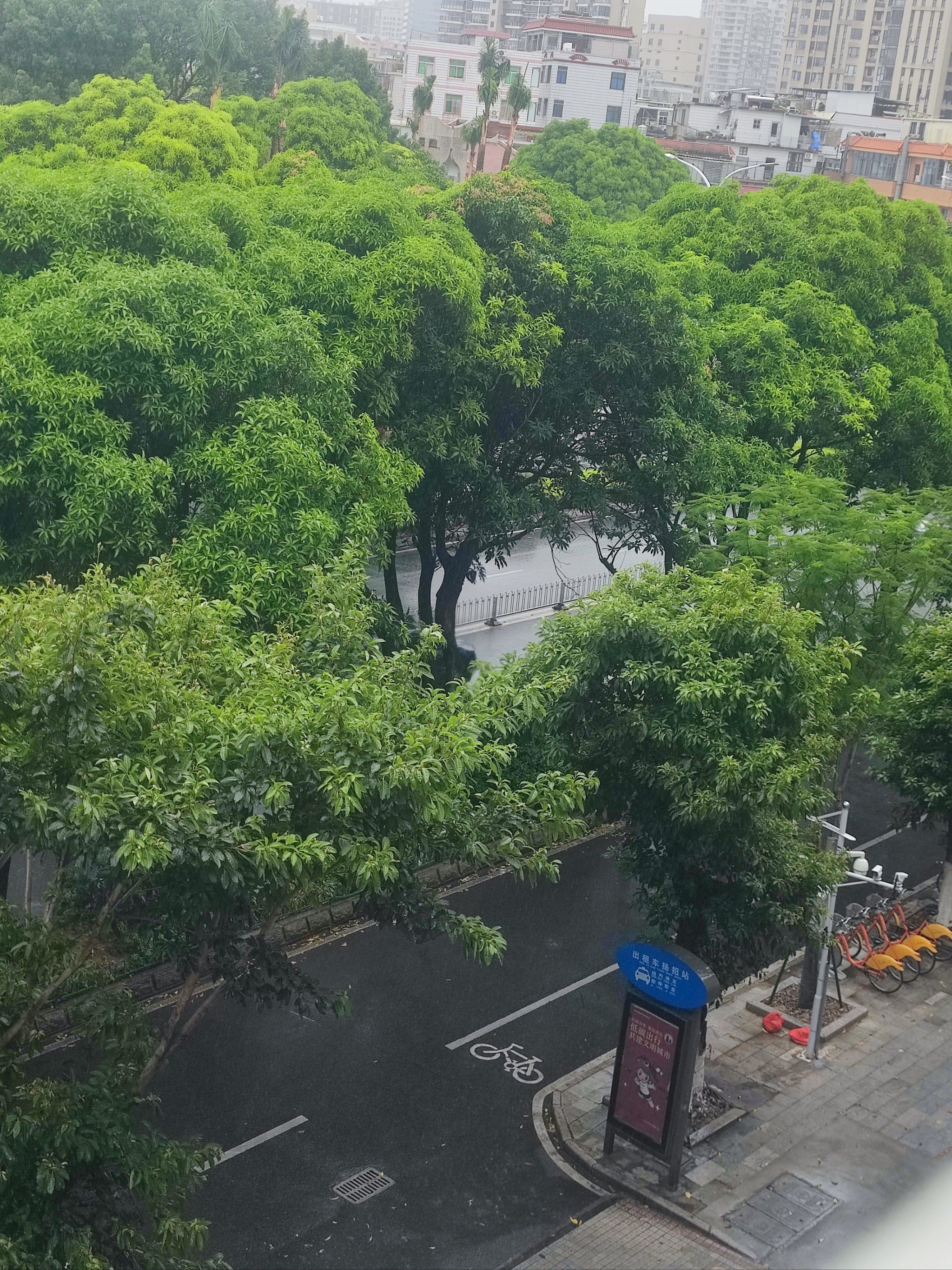 台风前的风平浪静