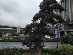 -恒越国际大厦