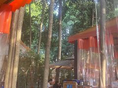 -二荆条·蜀鲜汇城市森林火锅