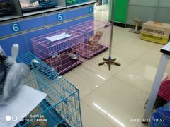 -瑞派动物医院·猫专科·至诚(江南中分院)