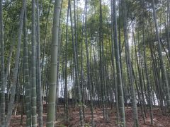 -善卷洞风景区