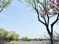 -阳澄湖半岛旅游度假区