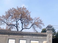 -张学良旧居陈列馆