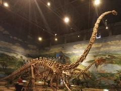 -自贡恐龙博物馆