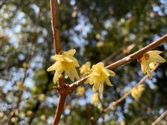-宁波市保国寺古建筑博物馆