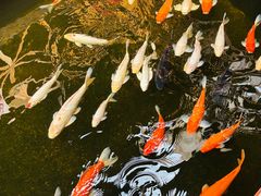 -侠成水上农庄(工业大道店)