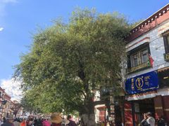 -宗角禄康公园