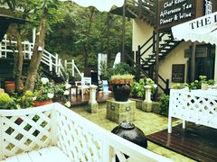 -Local泰莲庭(虹鳟鱼店)