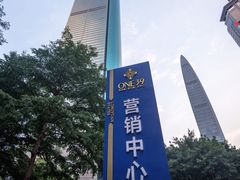 -凤凰印象公寓(深圳罗湖大剧院东门店)